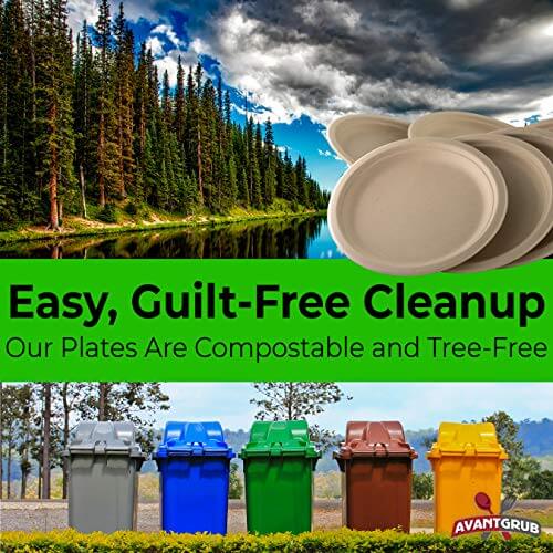 Biodegradable, Eco-Friendly Plates - 10" - Pack of 25, Kraft Brown